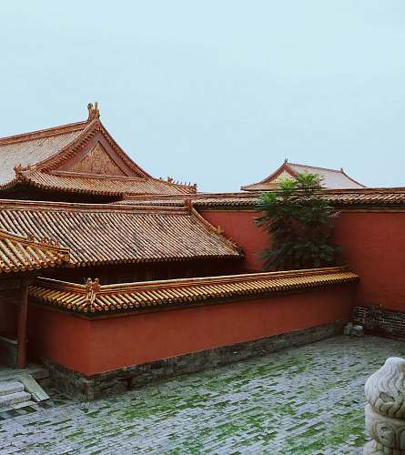 tile roof temple with tree building